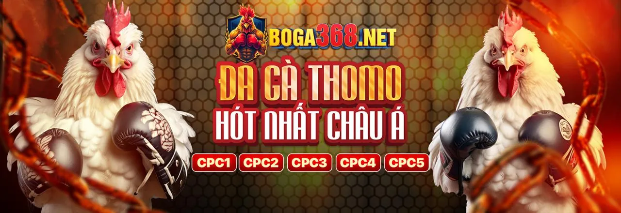 Đá gà vn583 Đăng Nhập
