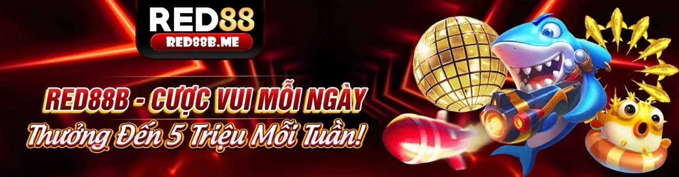 Tải Ứng Dụng VN583 Đăng Nhập