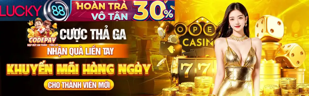 Chương trình đối tác vn583
